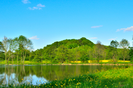 Bild-Nr: 11504835 Frühling am See Erstellt von: Karin Sigwarth