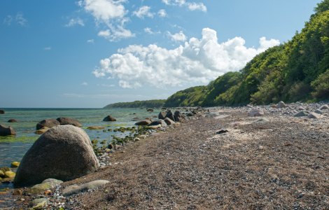 Bild-Nr: 11507446 Rügen Strand Lancken Erstellt von: Michael Rechter