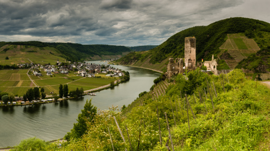 Bild-Nr: 11511180 Burg Metternich bei BeilsteinMosel Erstellt von: Erhard Hess