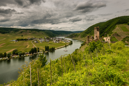 Bild-Nr: 11513587 Burg Metternich bei BeilsteinMosel 7 Erstellt von: Erhard Hess