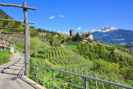 Bild-Nr: 11514016 Schloss Tirol im Frühling Erstellt von: Gisela Scheffbuch