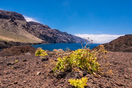 Bild-Nr: 11515849 Teneriffa Erstellt von: Rico Ködder