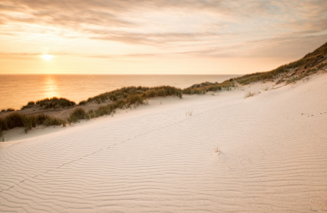 Bild-Nr: 11517386 Spuren im Sand Erstellt von: Nordbilder