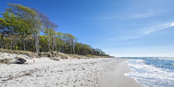 Bild-Nr: 11517690 Immer der Sonne nach | Ostsee Erstellt von: ReichderNatur