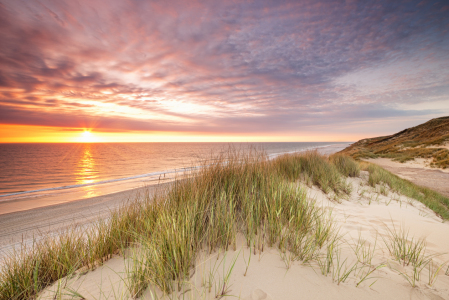 Bild-Nr: 11519313 Abendstimmung Sylter Dünenlandschaft Erstellt von: Nordbilder