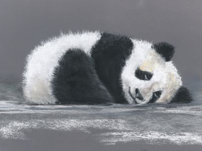 Bild-Nr: 11520479 Panda Erstellt von: JitkaKrause