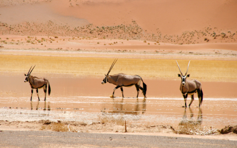 Bild-Nr: 11520857 Wassertreten Erstellt von: poncha