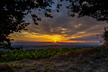 Bild-Nr: 11526562 Sonnenuntergang am Kaiserstuhl 2 Erstellt von: Lichtklicker