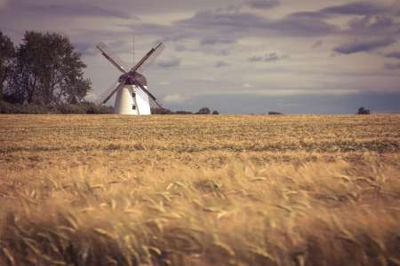 Bild-Nr: 11527846 Windmühle Im Feld Erstellt von: SooWhatPhotography