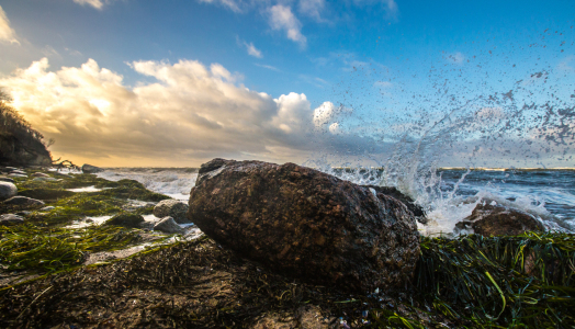 Bild-Nr: 11528918 Ostseeküste Erstellt von: Photosynthese