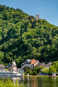 Bild-Nr: 11531566 Mosel bei Trarbach mit Grevenburg Erstellt von: Erhard Hess