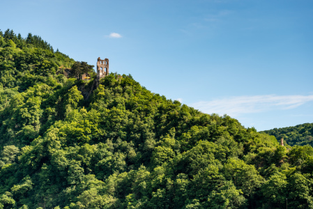 Bild-Nr: 11531578 Grevenburg bei Trarbach-Mosel Erstellt von: Erhard Hess