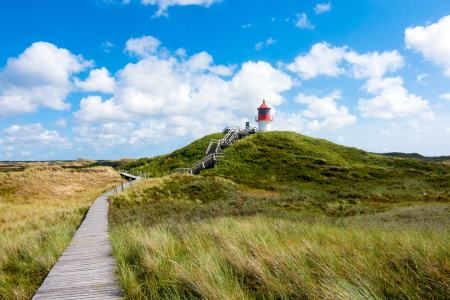 Bild-Nr: 11533972 Amrum  Erstellt von: Reiner Würz