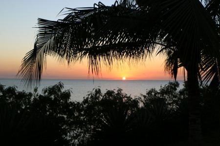 Bild-Nr: 11534006 Sonnenuntergang über dem Indischen Ozean mit Palmwedel auf Sansibar Erstellt von: carocita