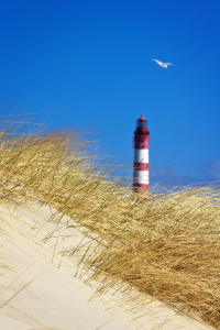 Bild-Nr: 11534672 Feelings - Insel Amrum Erstellt von: Angela  Dölling