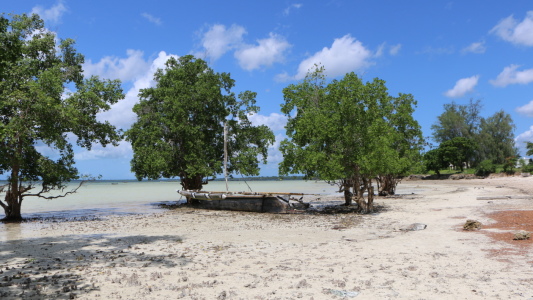 Bild-Nr: 11534840 Sansibar - Strand mit Fischerboot und Mangroven Erstellt von: carocita