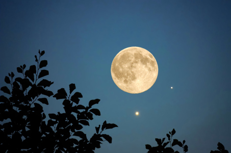 Bild-Nr: 11538490 Mond und Sterne Erstellt von: Rolf Eschbach