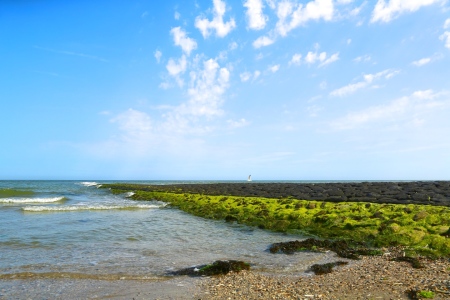 Bild-Nr: 11539302 Baltrum , Steinbuhne Erstellt von: Ursula Reins