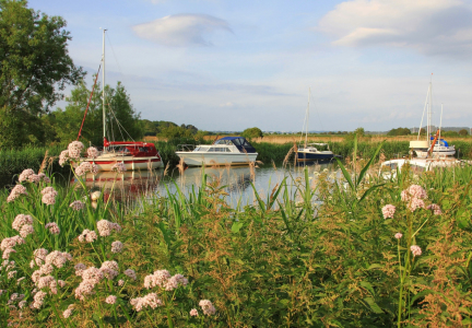 Bild-Nr: 11542376 Boote am River Frome, Dorset Erstellt von: SusaZoom