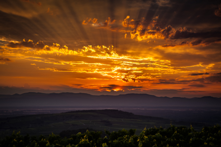 Bild-Nr: 11542602 Sonnenuntergang am Kaiserstuhl - reloaded Erstellt von: Lichtklicker