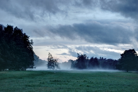 Bild-Nr: 11543016 Morgennebel Erstellt von: edigeier