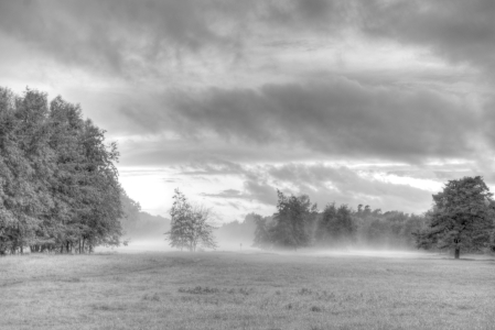 Bild-Nr: 11543022 Morgennebel schwarzweiß Erstellt von: edigeier