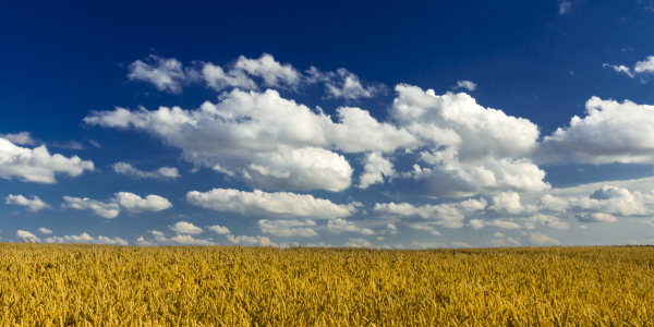 Bild-Nr: 11544420 Sommerhimmel Erstellt von: Armin Redöhl