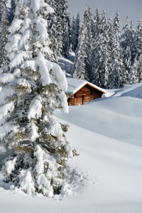 Bild-Nr: 11545170 Winteridylle Erstellt von: Bettina Schnittert