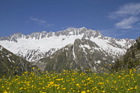 Bild-Nr: 11546740 Auf der Göscheneralp Erstellt von: EderHans