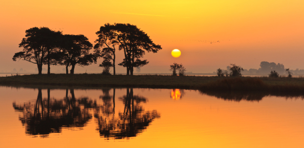 Bild-Nr: 11547058 Morgenstund Erstellt von: Jens-Gottschalk