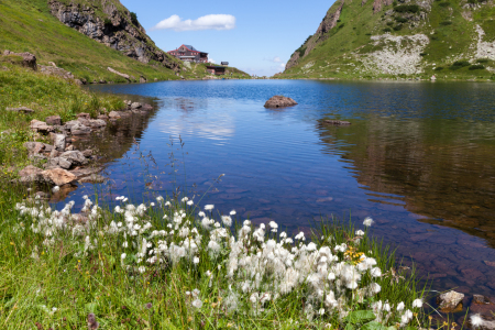 Bild-Nr: 11547518 Wildseeloder I Erstellt von: waveland