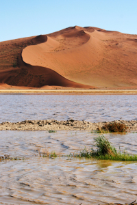 Bild-Nr: 11547638 WASSER-WÜSTE Erstellt von: poncha