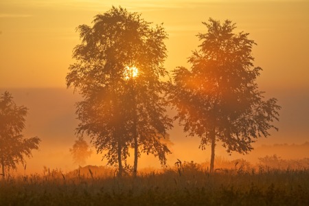 Bild-Nr: 11548368 Sonnenaufgang Erstellt von: KundenNr-295250