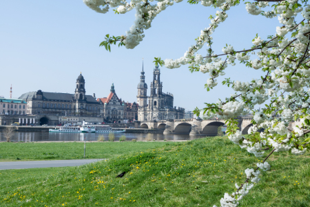 Bild-Nr: 11548498 Frühling in Dresden Erstellt von: MM-Pics