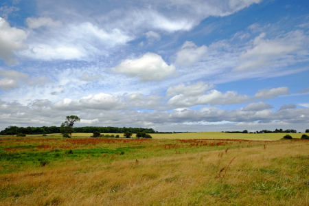 Bild-Nr: 11552852 Landschaftsschutzgebiet  Erstellt von: Ostfriese