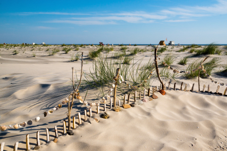 Bild-Nr: 11554518 Strand, Muscheln, Steine und Meer Erstellt von: Reiner Würz