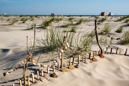 Bild-Nr: 11554562 Strand, Muscheln, Steine und Meer Erstellt von: Reiner Würz