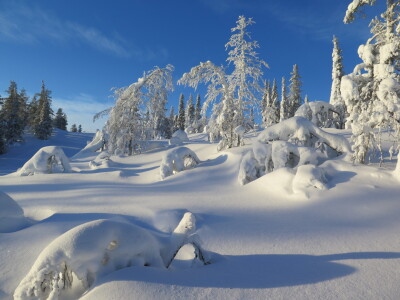 Bild-Nr: 11556036 Finnischer Winter Erstellt von: EntdeckungsReise