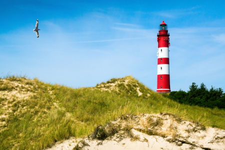 Bild-Nr: 11556298 Amrum - am Leuchtturm Erstellt von: Reiner Würz