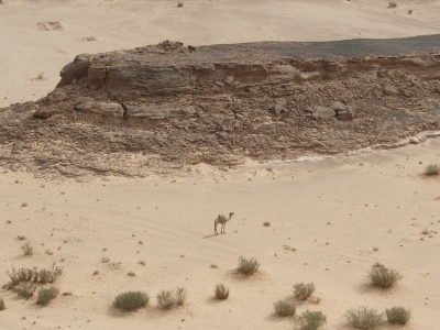 Bild-Nr: 11556540 Wodka in Arabien Erstellt von: EntdeckungsReise