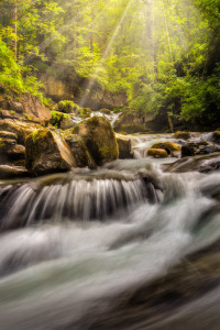 Bild-Nr: 11556746 Morgenlicht am Waldbach  Erstellt von: StefanPrech