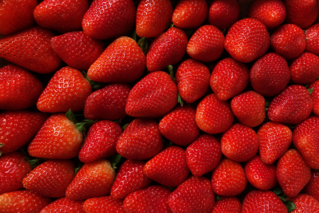 Bild-Nr: 11557606 Erdbeeren, formatfüllend Erstellt von: Darlya