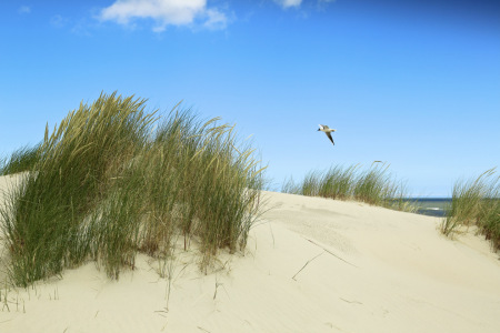 Bild-Nr: 11560248 meine Nordsee Erstellt von: Ursula Reins