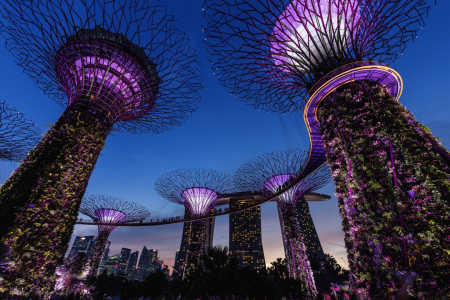 Bild-Nr: 11560924 Garden by the Bay Erstellt von: TomKli