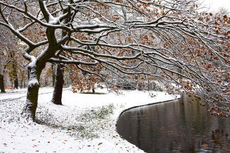 Bild-Nr: 11561724 Baum im Park Erstellt von: KundenNr-295250