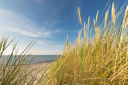 Bild-Nr: 11562636 Durchblick zum Meer Erstellt von: Nordbilder