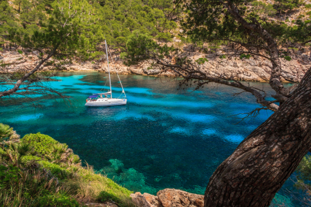 Bild-Nr: 11563089 Mallorca Bucht Erstellt von: TomKli