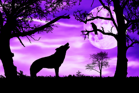Bild-Nr: 11563630 Wolf heult Mond an Erstellt von: Darlya