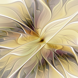 Bild-Nr: 11564658 Floral Beauty Erstellt von: gabiw-art