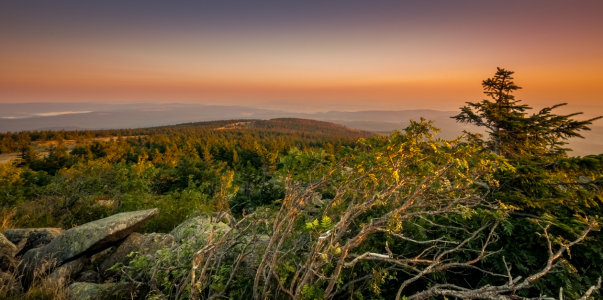 Bild-Nr: 11564968 Vom Brocken Erstellt von: Steffen Henze